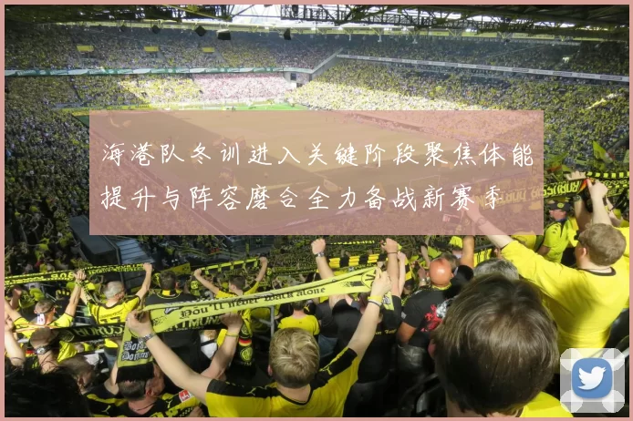 海港队冬训进入关键阶段聚焦体能提升与阵容磨合全力备战新赛季