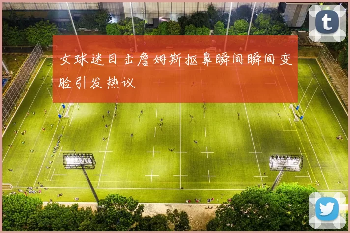 女球迷目击詹姆斯抠鼻瞬间瞬间变脸引发热议